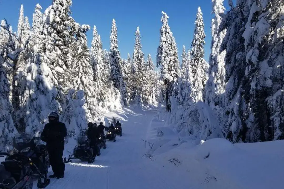 Groupe de motoneigistes arrêtés dans un sentier sous les arbres givrés